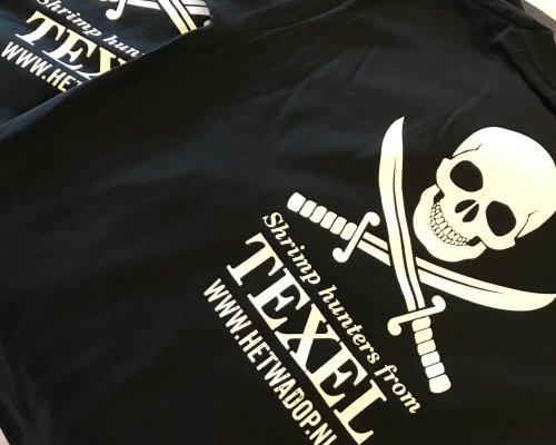 Garnalen vissen op Texel