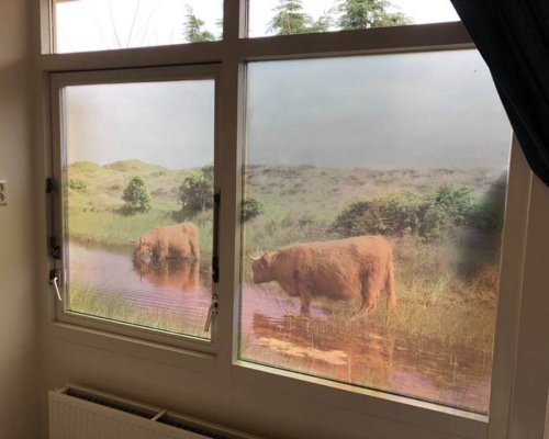 lichtdoorlatende prints