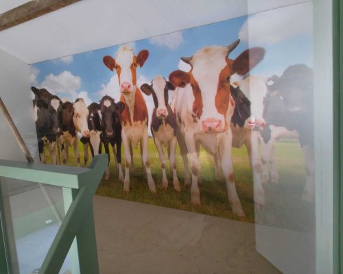 stickers-wanddecoratie1