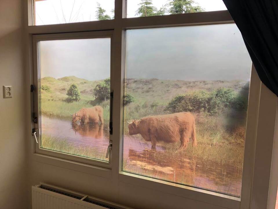 lichtdoorlatende prints