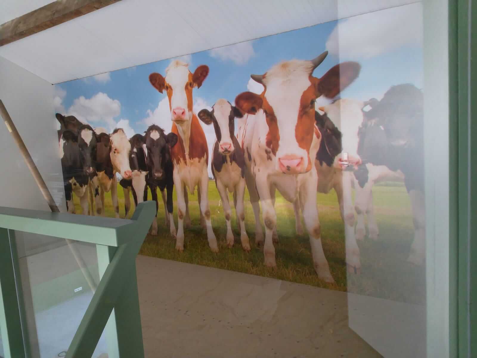 stickers-wanddecoratie1